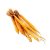 lesser-galangal