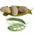 butter-beans