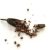 long-pepper-plant