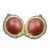 mature-macadamia-nuts