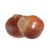 malabar-chestnut-properties