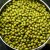 mung-bean-growth