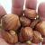 nutritional-facts-of-breadnut