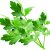 flat-leaf-parsley