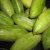 pointed-gourd
