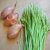 prussian-asparagus-cultivation