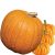 large-pumpkin