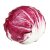 radicchio