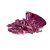 red-cabbage-plant