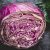 red-cabbage-leaves