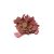 red-spinach-leaves