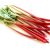 rhubarb