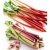 rhubarb