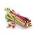 rhubarb