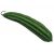 ridge-gourd-various-uses