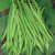 runner-bean-uses
