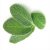 sage-leaf