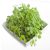 salad-burnet-leaves