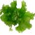 sea-lettuce-health-benefits