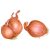 shallots-roots