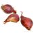 dry-shallots