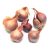 shallotsonions