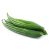 snake-gourd-medicinal-uses