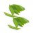 -baby-snap-peas-