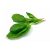 spinach-baby