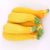 yellow-summer-squash