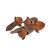 tiny-bud-of-clove