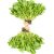 water-cress-roots