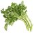 fresh-water-cress