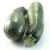 black-beauty-zucchini