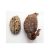 alligator-pepper-uses