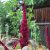 amaranth-health-benefits