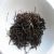 arame-medicinal-properties