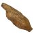 arrowroot
