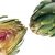 artichoke-hearts