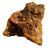 asafoetida-health-benefits
