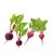 beet-greens-nutritional-value