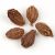 black-cardamom-types