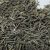 black-cumin-medicinal-properties