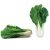 bok-choy-chinese-uses