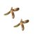 borneo-tallow-nuts-uses