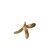 borneo-tallow-nuts-origin