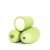 bottle-gourd-plant