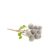 burdock-plant