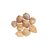 candlenut-health-facts