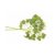 chervil-leaves